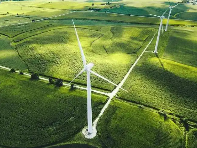 微信图片_2025-12-07_125847_626