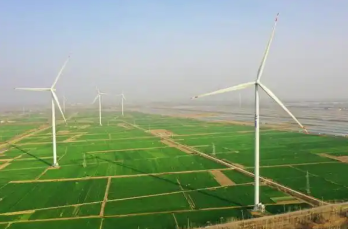 微信图片_2025-12-07_125505_706