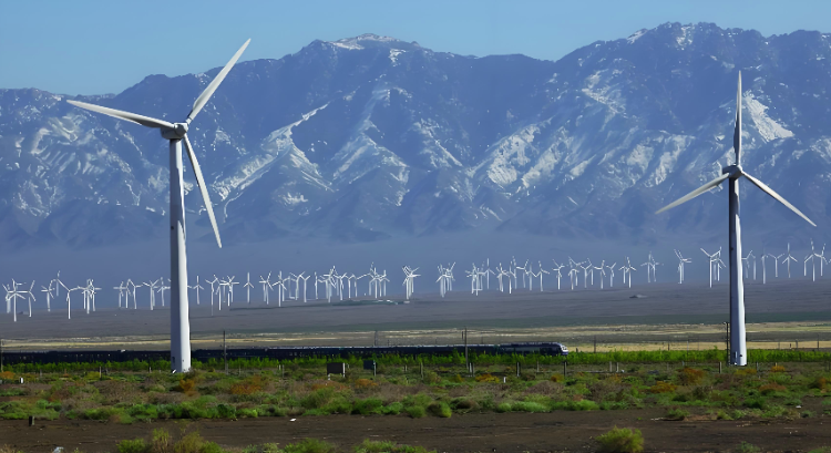 微信图片_20251212012004_254_9